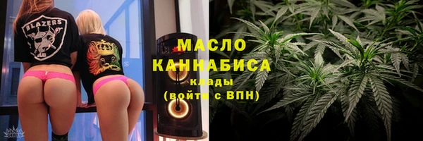 индика Бородино